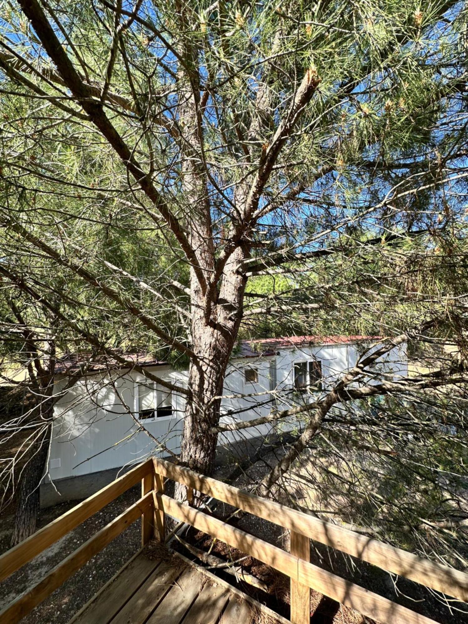 Bungalow Golosina Torrelaguna Extérieur photo