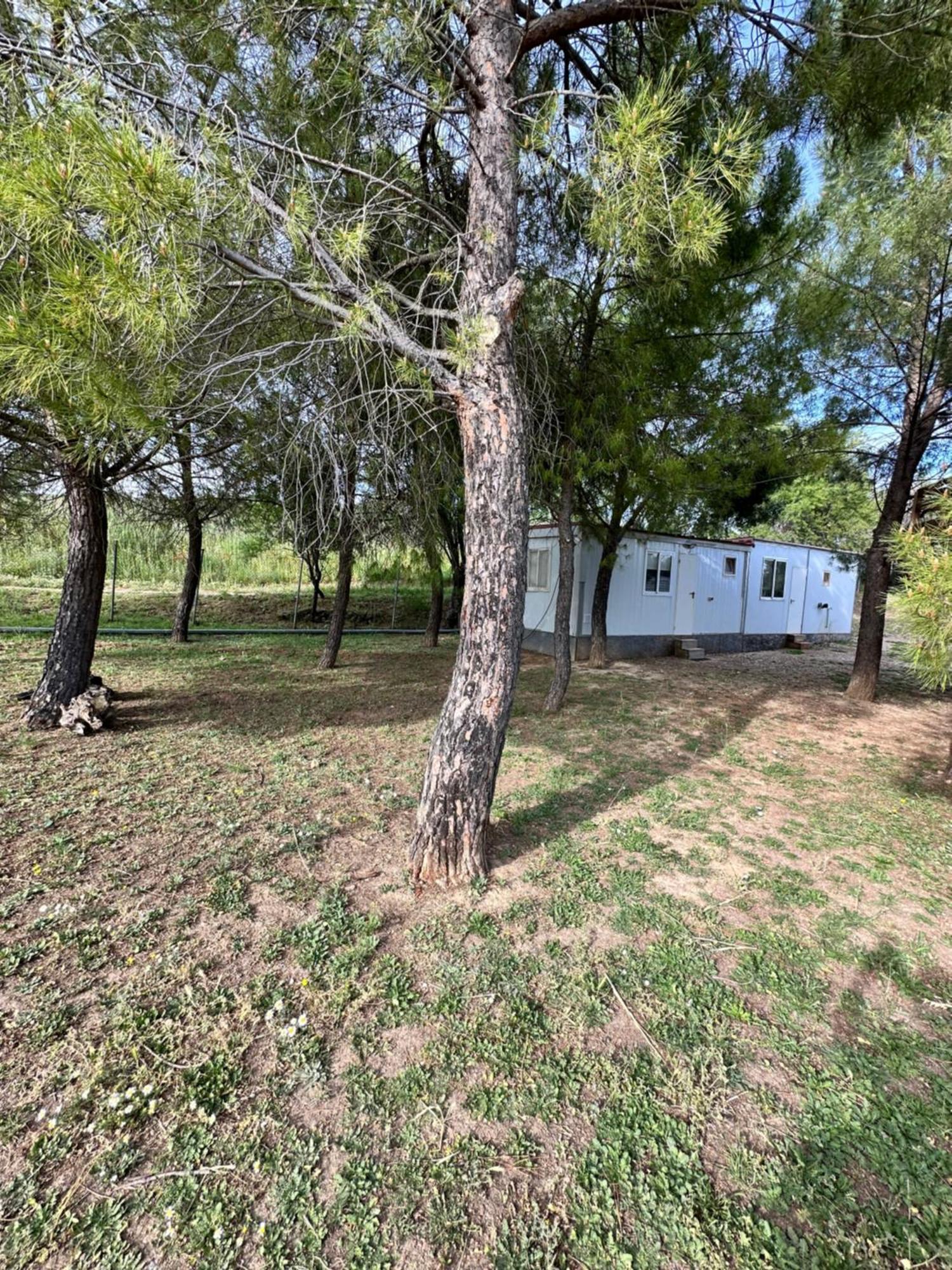 Bungalow Golosina Torrelaguna Extérieur photo